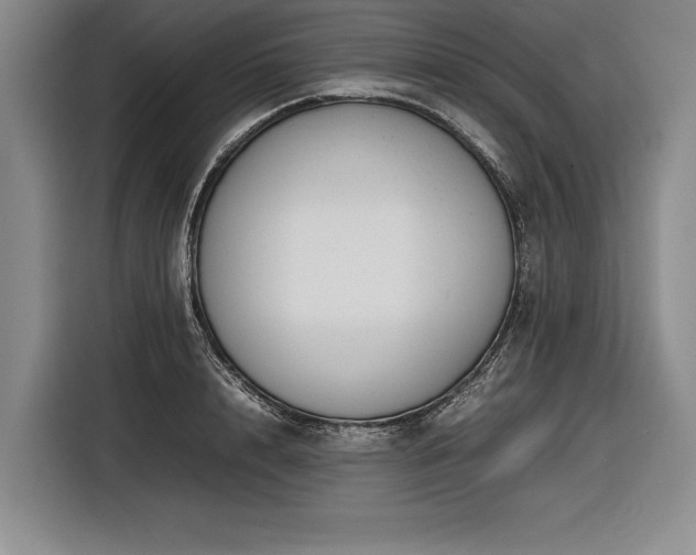 X0000116880848200912221424