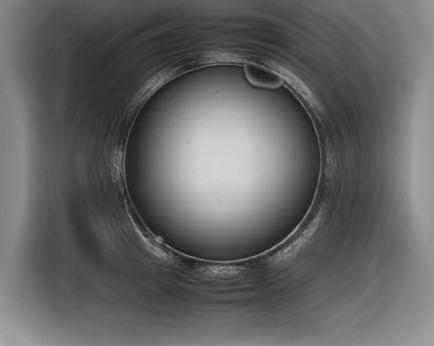 X0000116880849200912221424