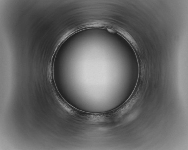 X0000116880850200912221424