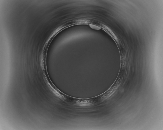X0000116880851200912221424