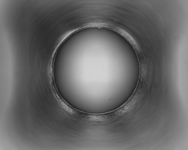 X0000116880852200912221424