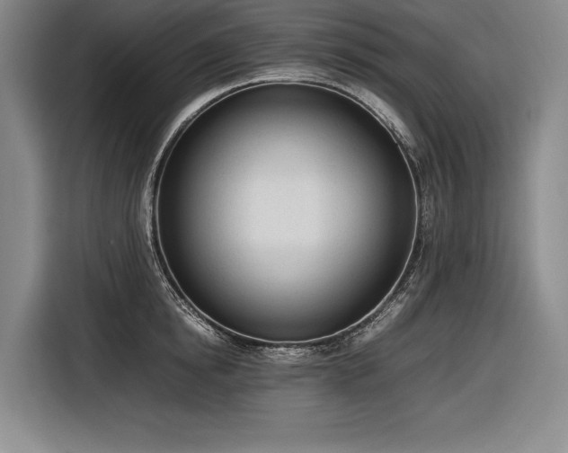 X0000116880854200912221424