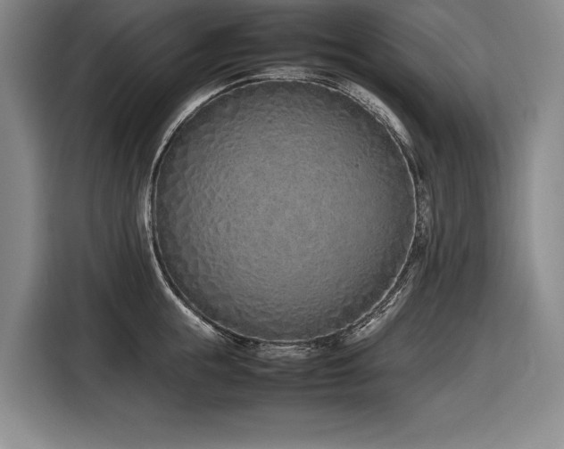 X0000116880855200912221424