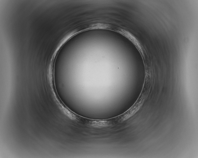 X0000116880859200912221424