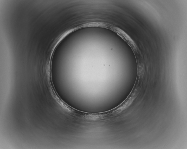 X0000116880860200912221424