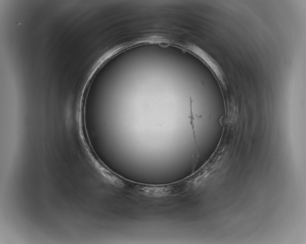 X0000116880861200912221424