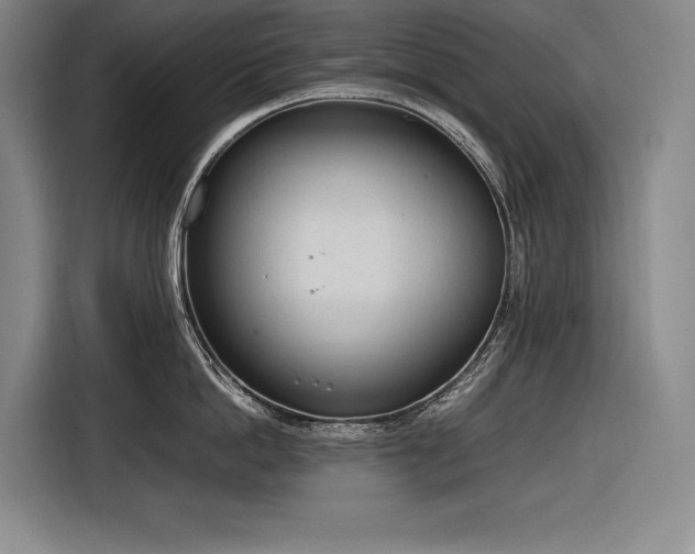 X0000116880862200912221424