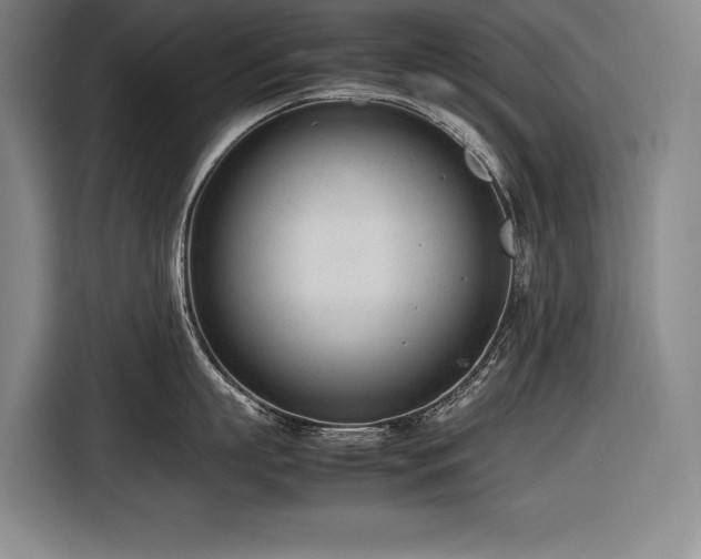 X0000116880863200912221424