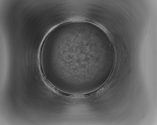 X0000116880864200912221424