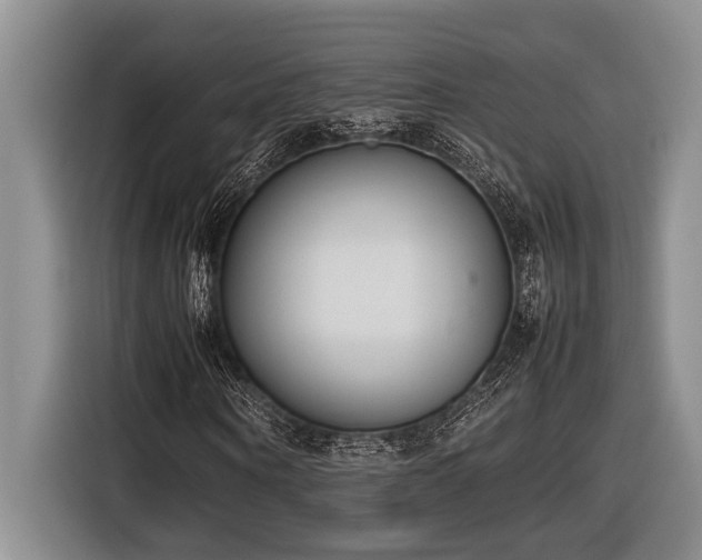 X0000116880866200912221423