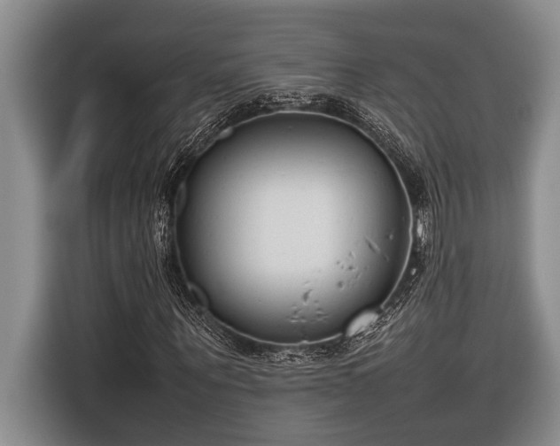 X0000116880867200912221423