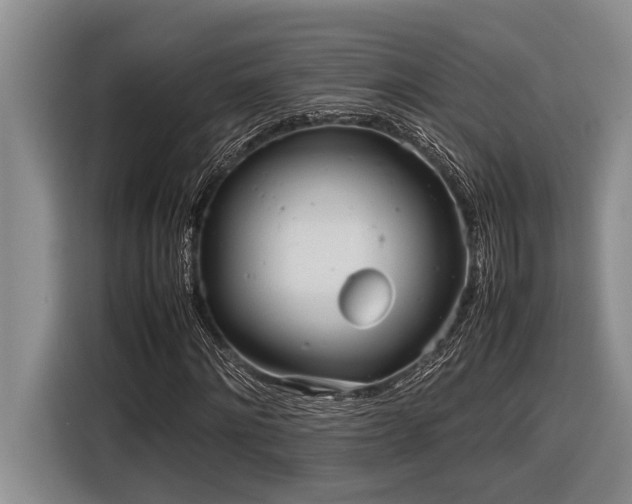 X0000116880868200912221423