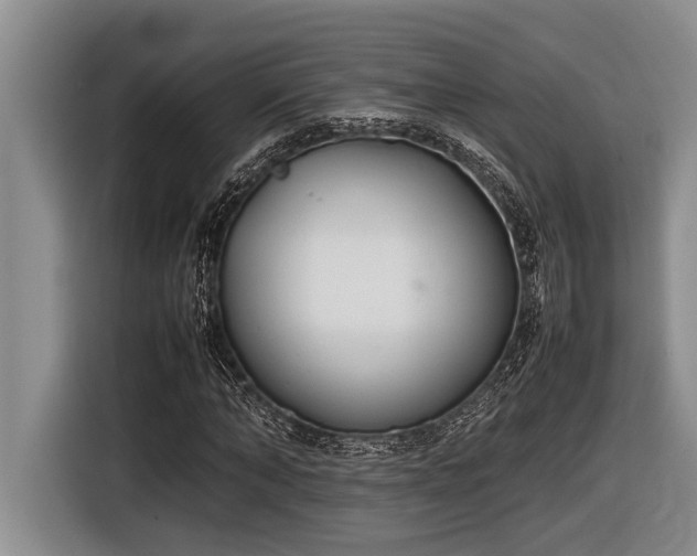 X0000116880870200912221423