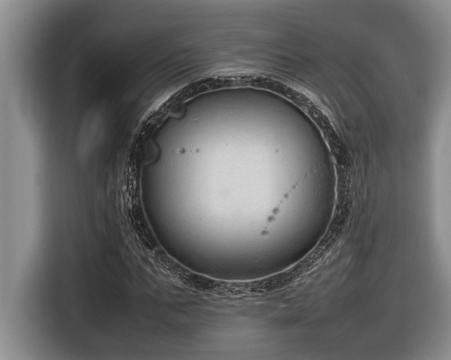X0000116880871200912221423