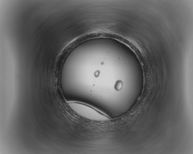 X0000116880872200912221423