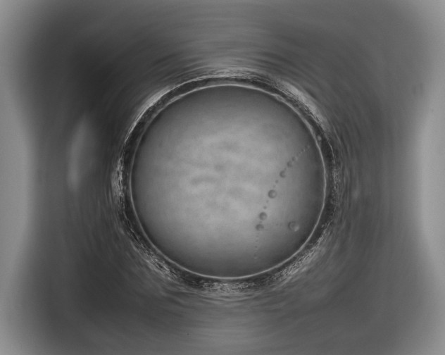 X0000116880875200912221423