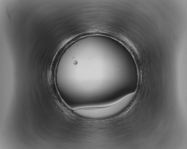 X0000116880876200912221423