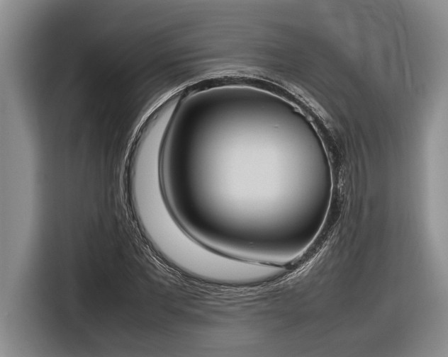 X0000116880877200912221423