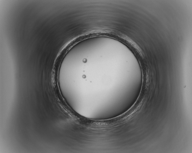 X0000116880878200912221423