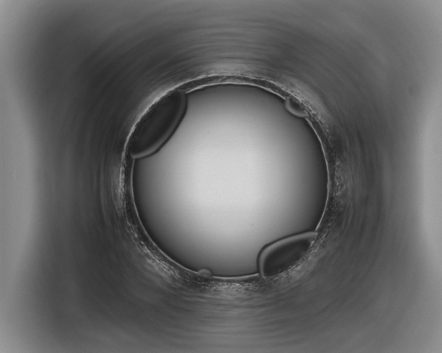 X0000116880880200912221423