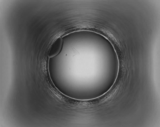 X0000116880881200912221423