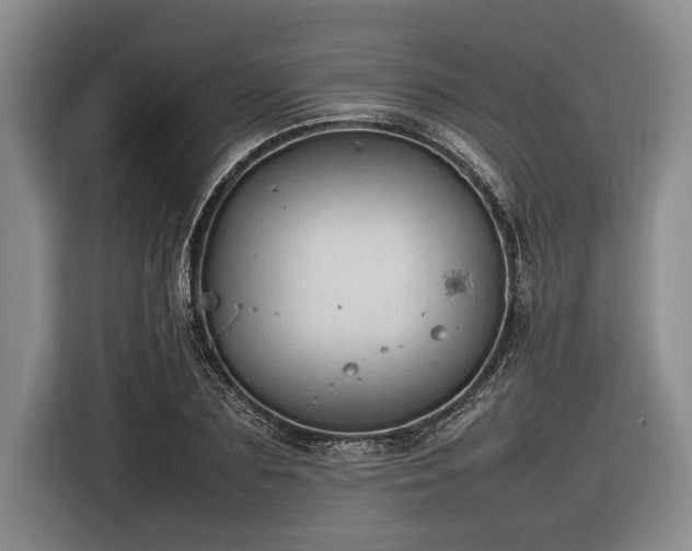 X0000116880883200912221423