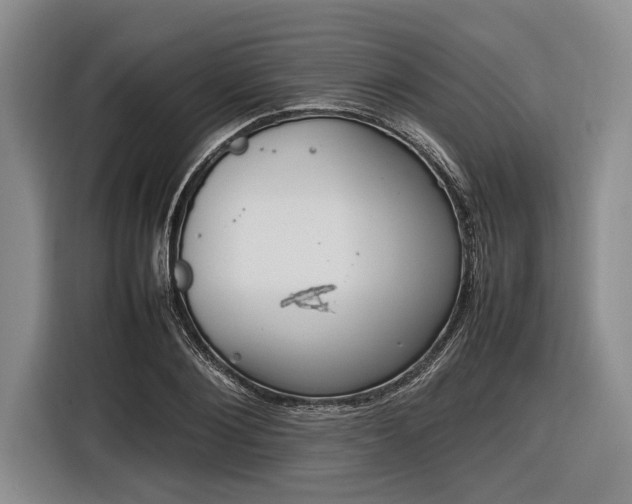 X0000116880884200912221423