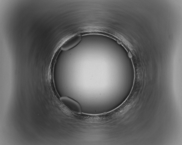 X0000116880885200912221423