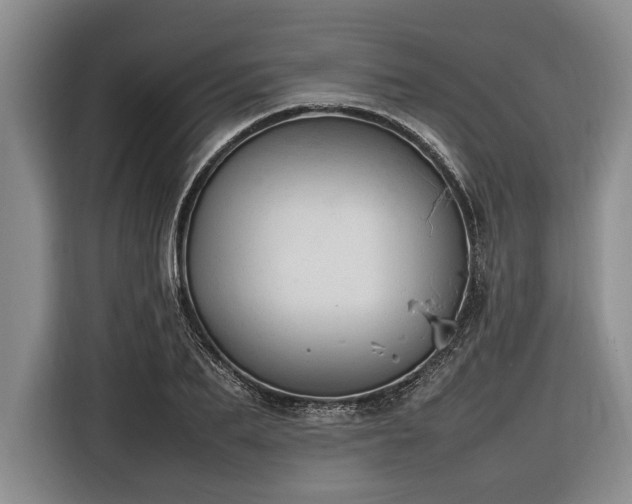 X0000116880887200912221423