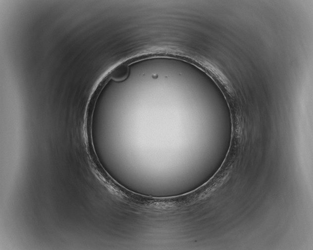X0000116880888200912221423