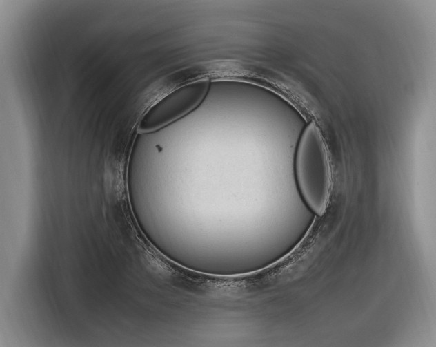 X0000116880889200912221423