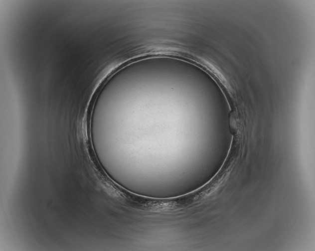 X0000116880891200912221423