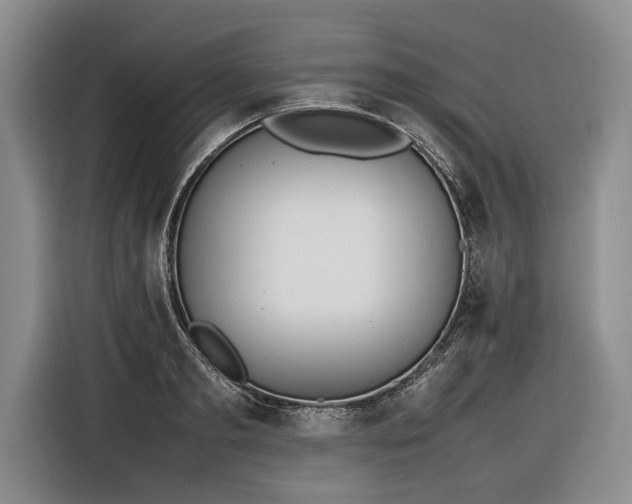 X0000116880893200912221423