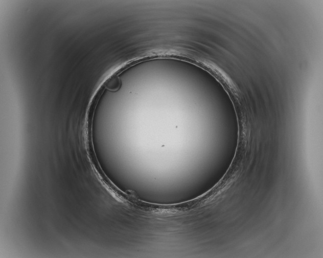 X0000116880894200912221423