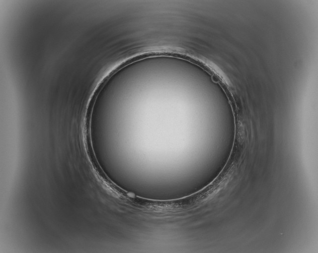 X0000116880895200912221423