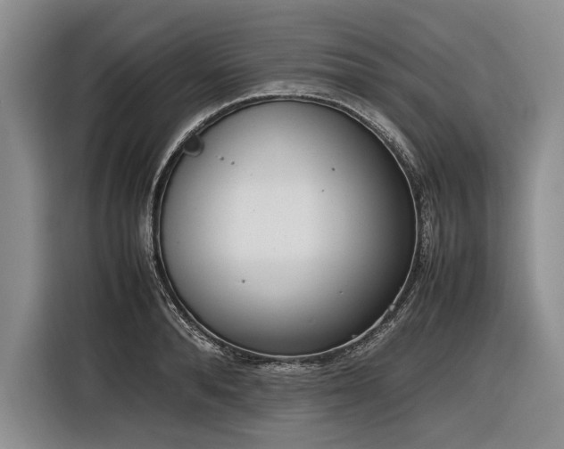 X0000116880896200912221423