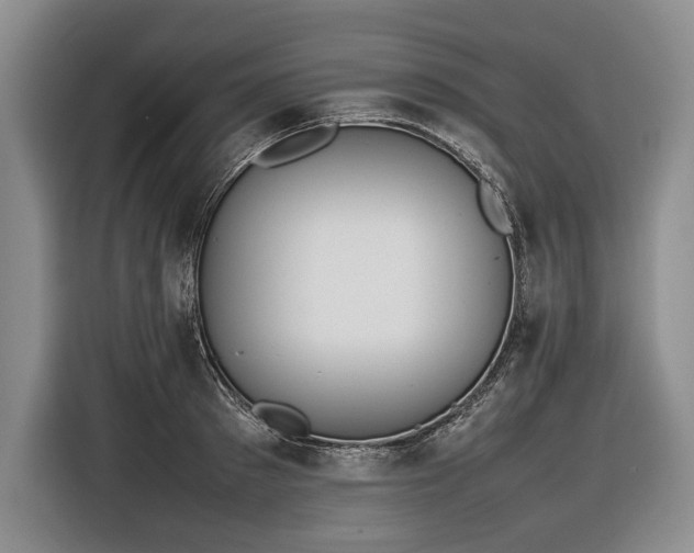 X0000116880897200912221423
