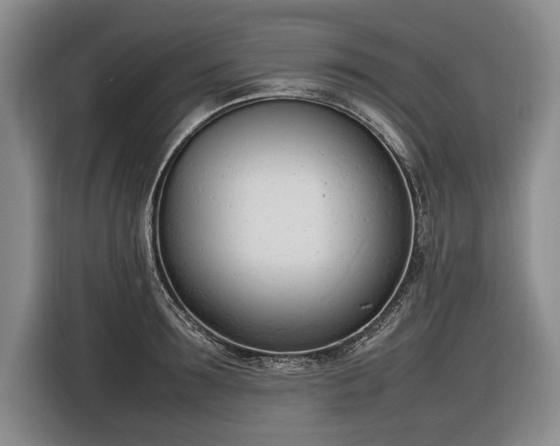 X0000116880899200912221423