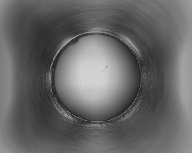 X0000116880900200912221423