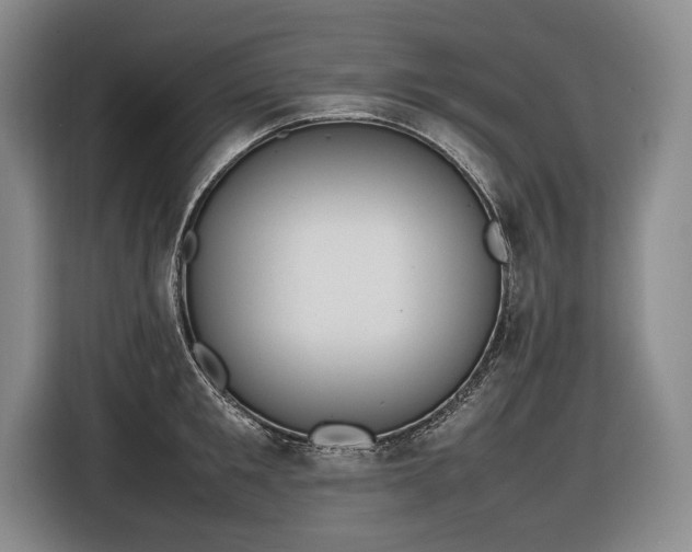 X0000116880901200912221423