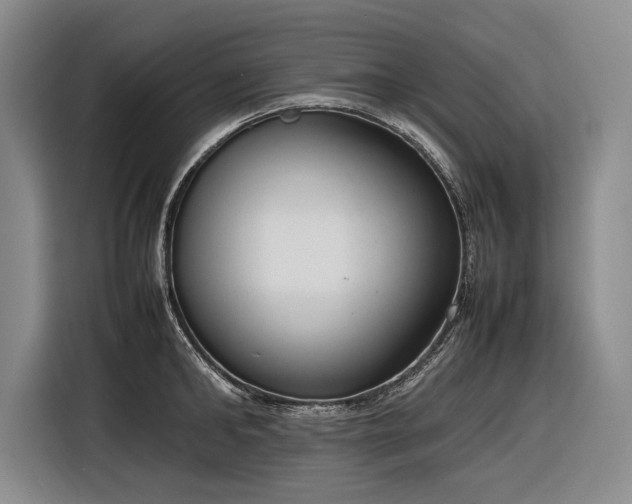 X0000116880902200912221423