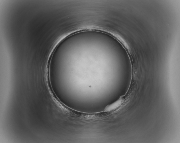 X0000116880903200912221423