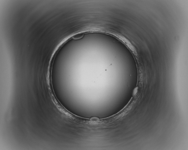 X0000116880904200912221423