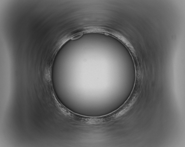 X0000116880905200912221423