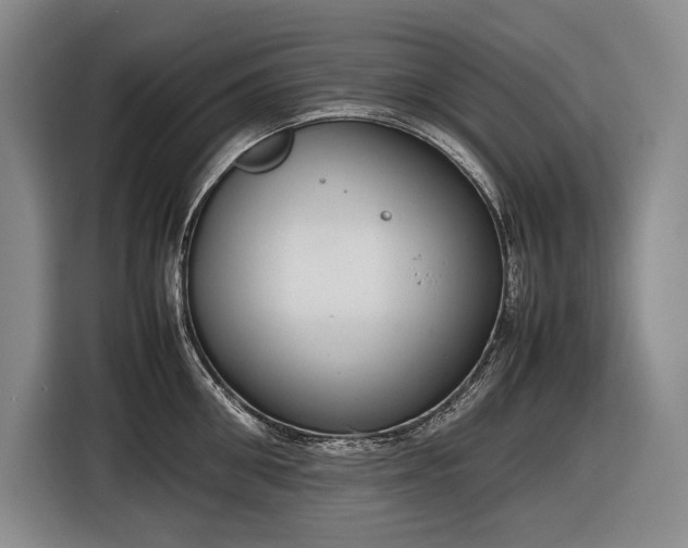 X0000116880906200912221423