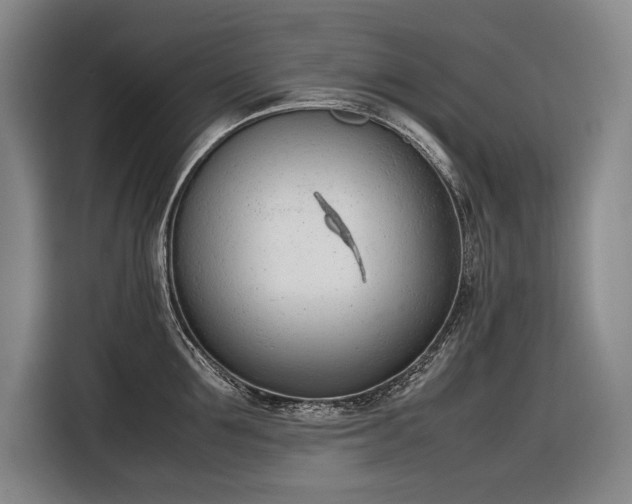 X0000116880907200912221423