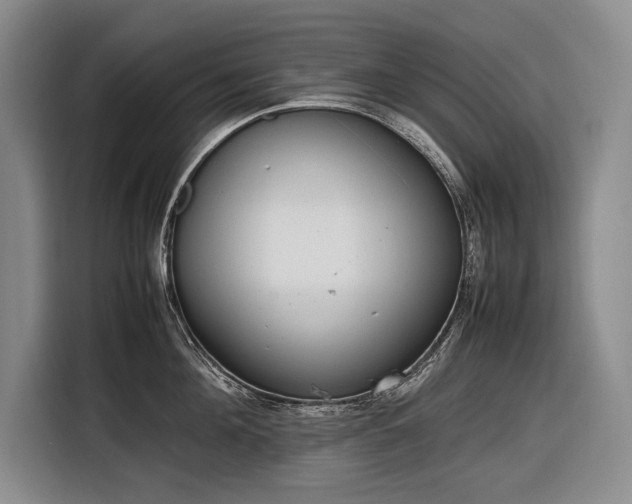 X0000116880908200912221423