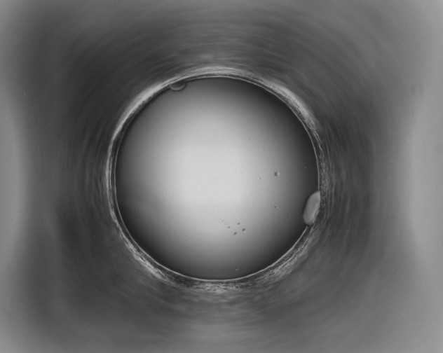 X0000116880910200912221423