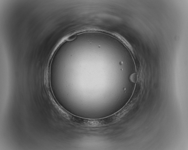 X0000116880911200912221423