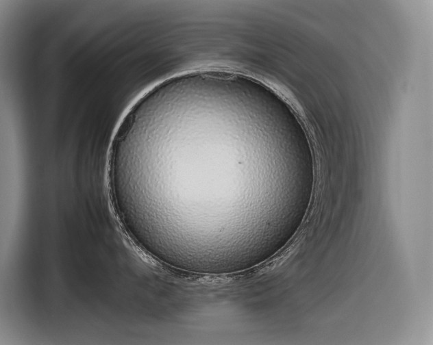 X0000116880912200912221423